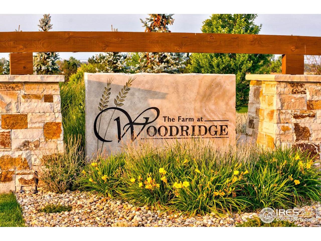 13010 Woodridge Dr - Photo 1