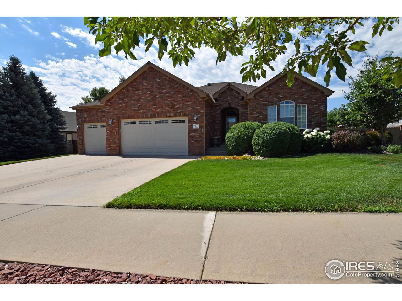 1903 78th Ave - Photo 1