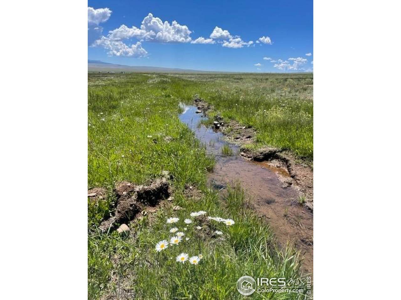 4 Colfax (Cr 119) Ln - Photo 1
