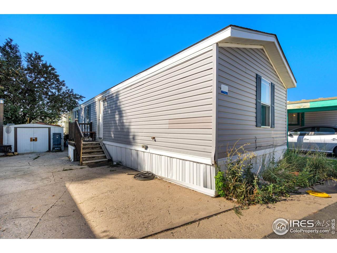517 Trilby Rd - Photo 1