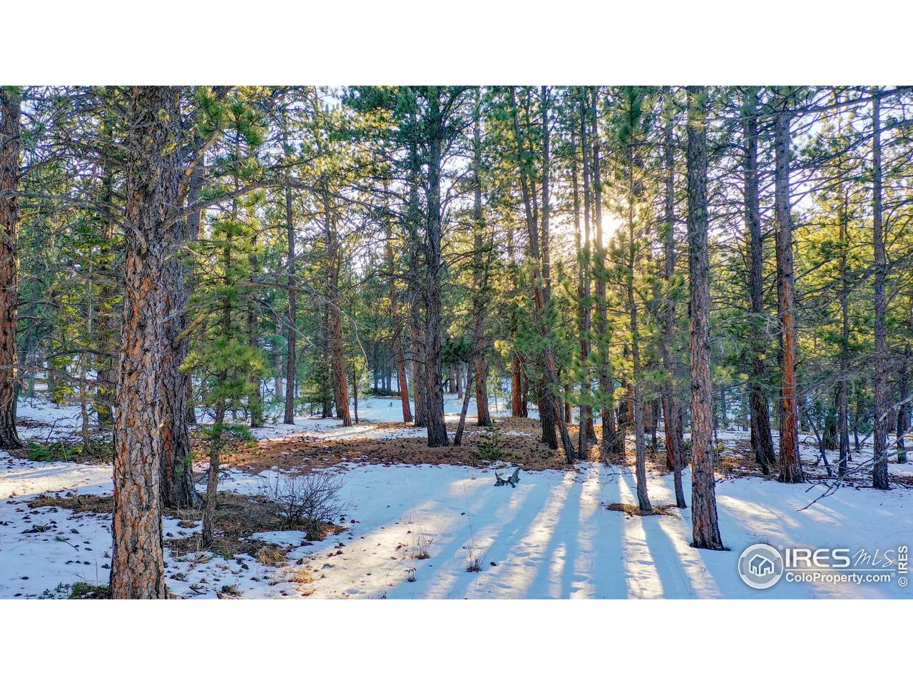 357 Big John Rd - Photo 1
