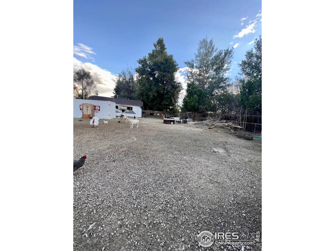 7593 Hygiene Rd - Photo 1