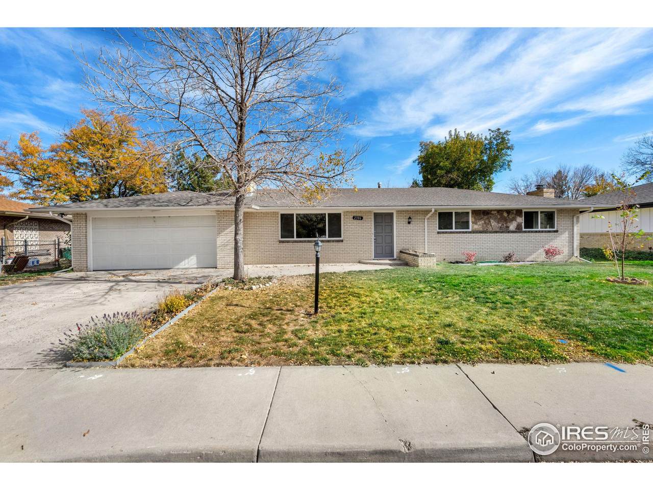 2306 Ptelea Ct - Photo 1