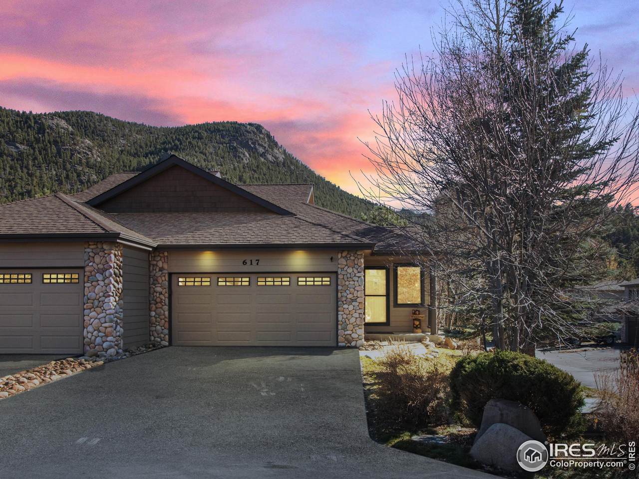 617 Park River Pl - Photo 1