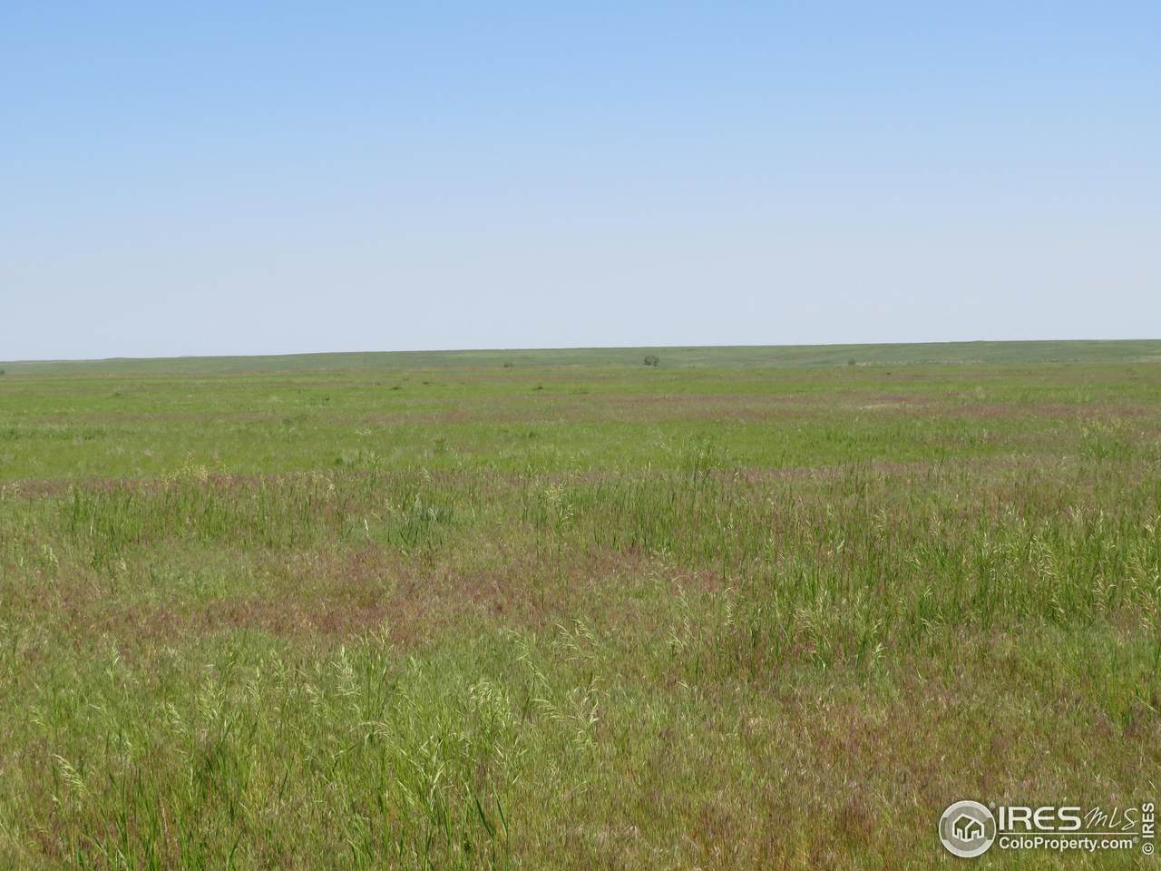 0 Lot 4 County Road 102 - Photo 1