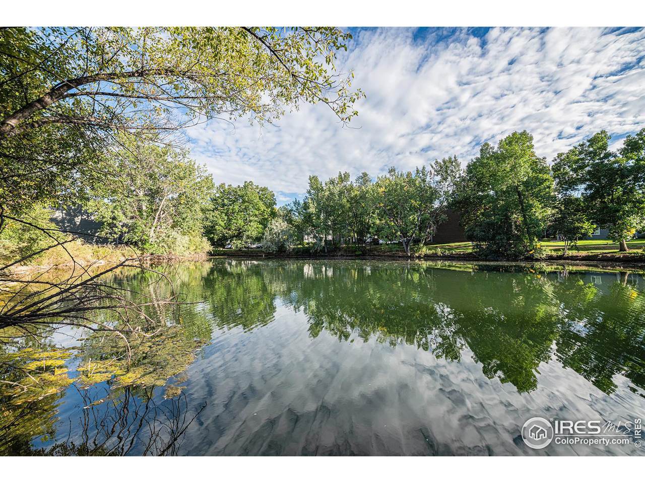 1225 Prospect Rd - Photo 1
