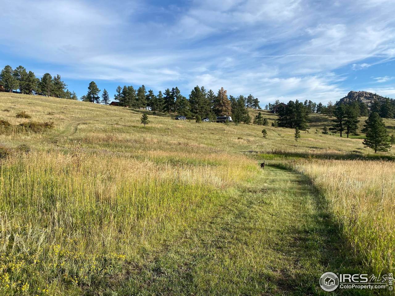 78 Mount Champion Dr - Photo 1