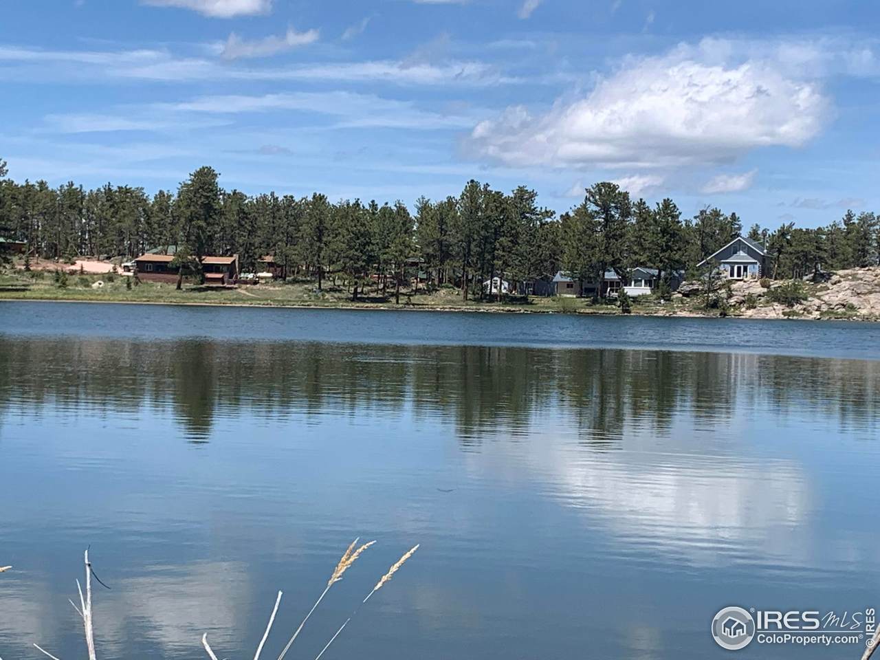 231 Snake Lake Dr - Photo 1