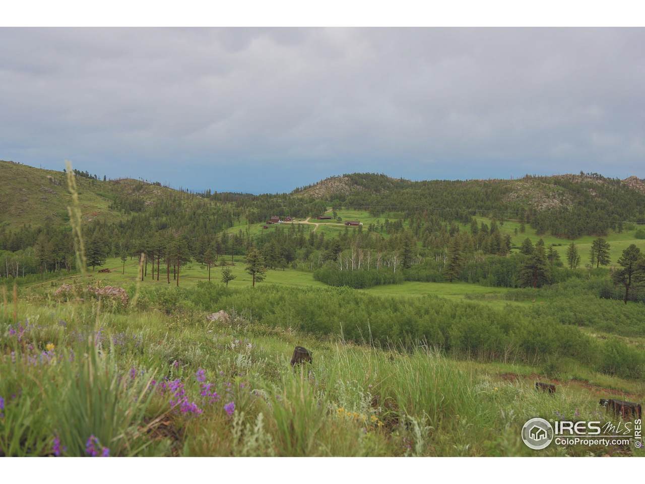 14884 Rist Canyon Rd - Photo 1