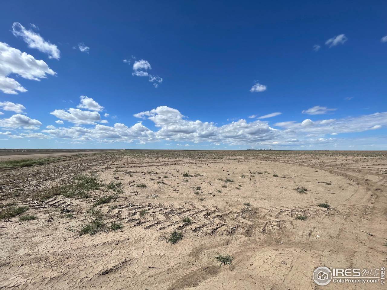 Tbd Cnty Rd 55 - Photo 1