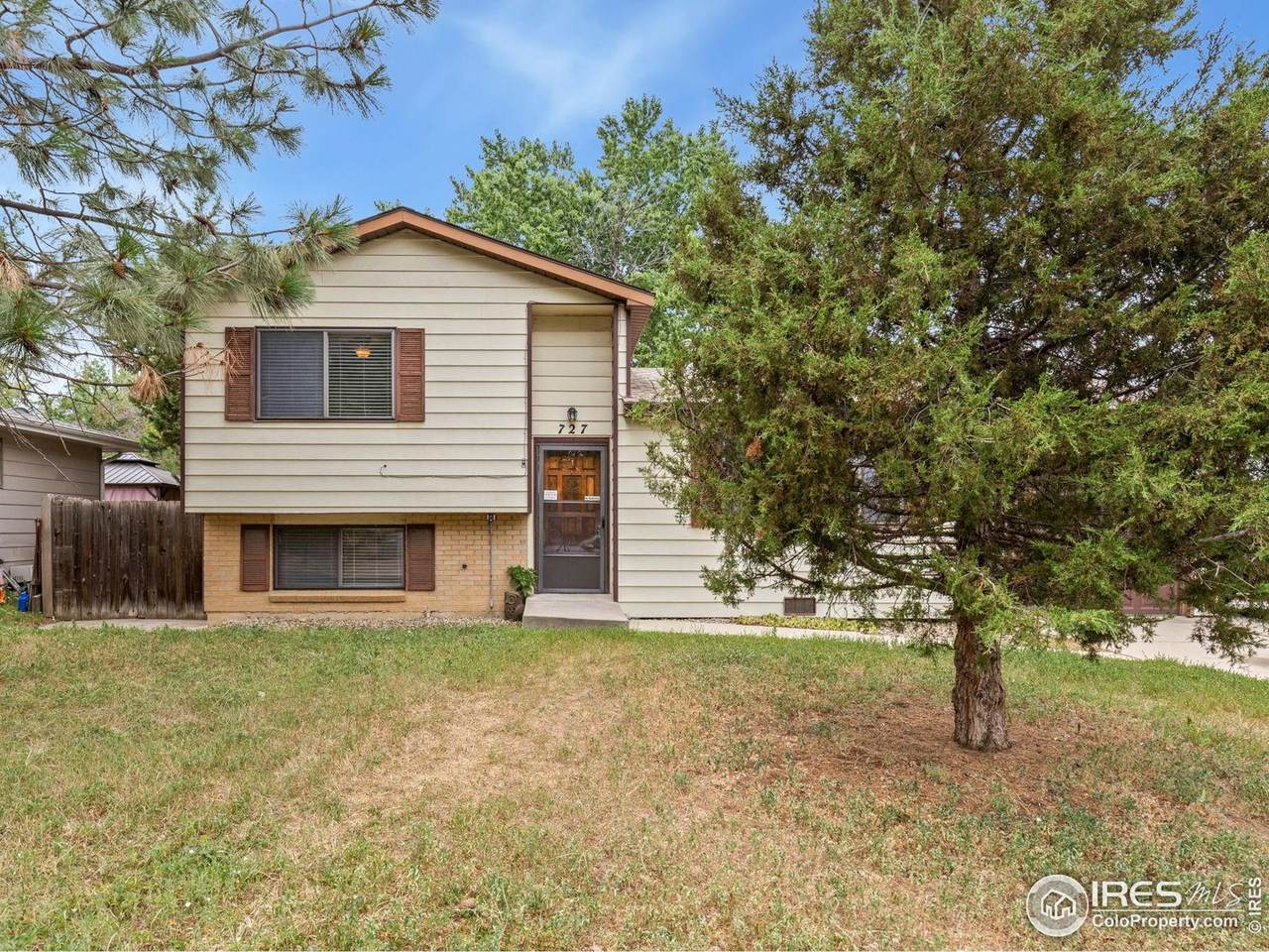 727 Mount Evans St - Photo 1