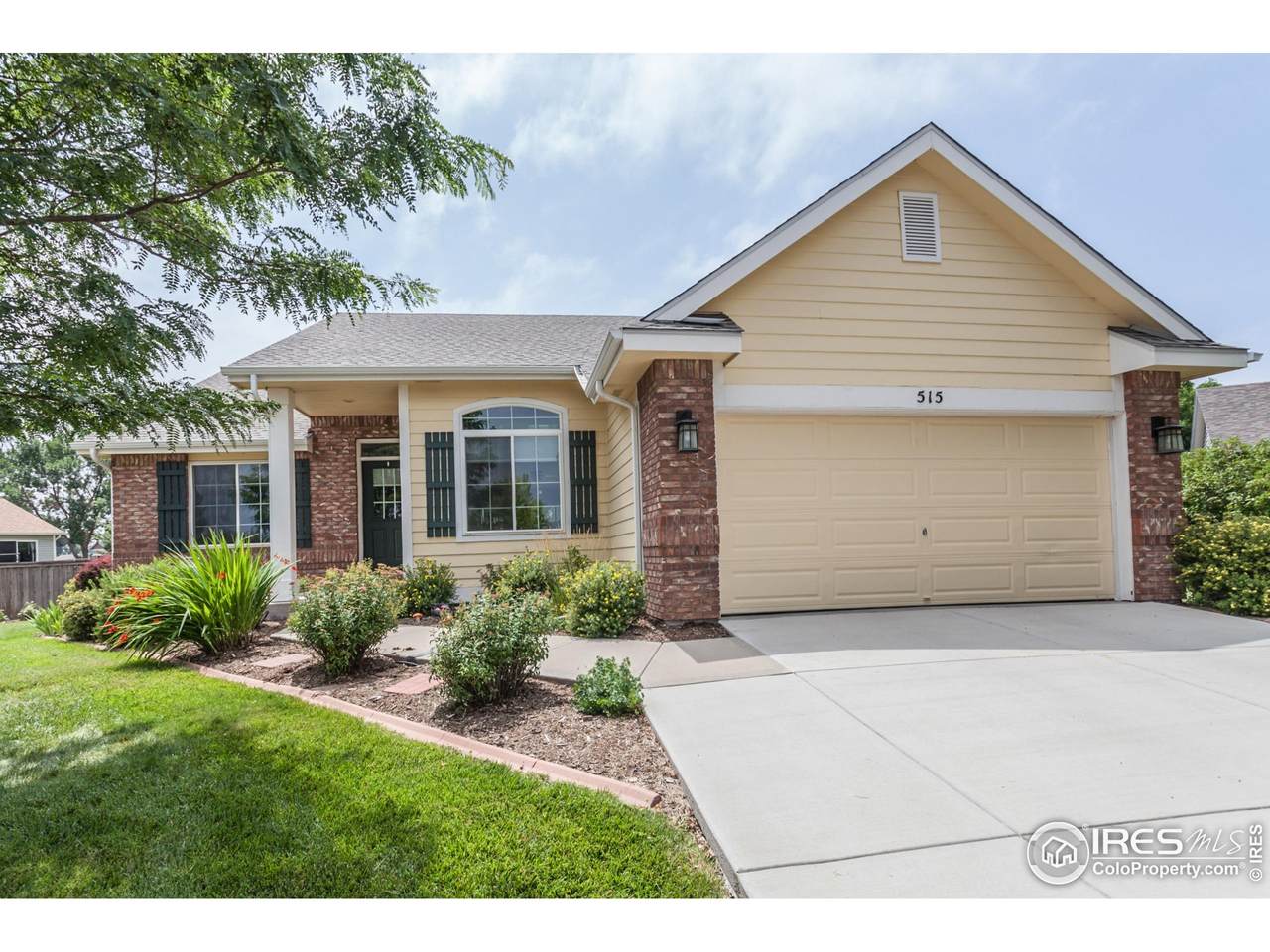 515 Limber Pine Ct - Photo 1