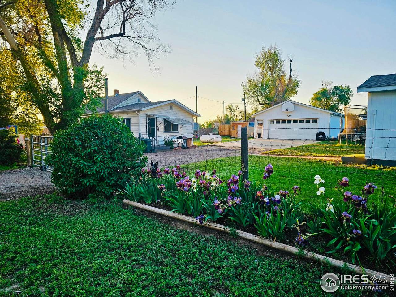 24797 Pleasant Hill Ave - Photo 1
