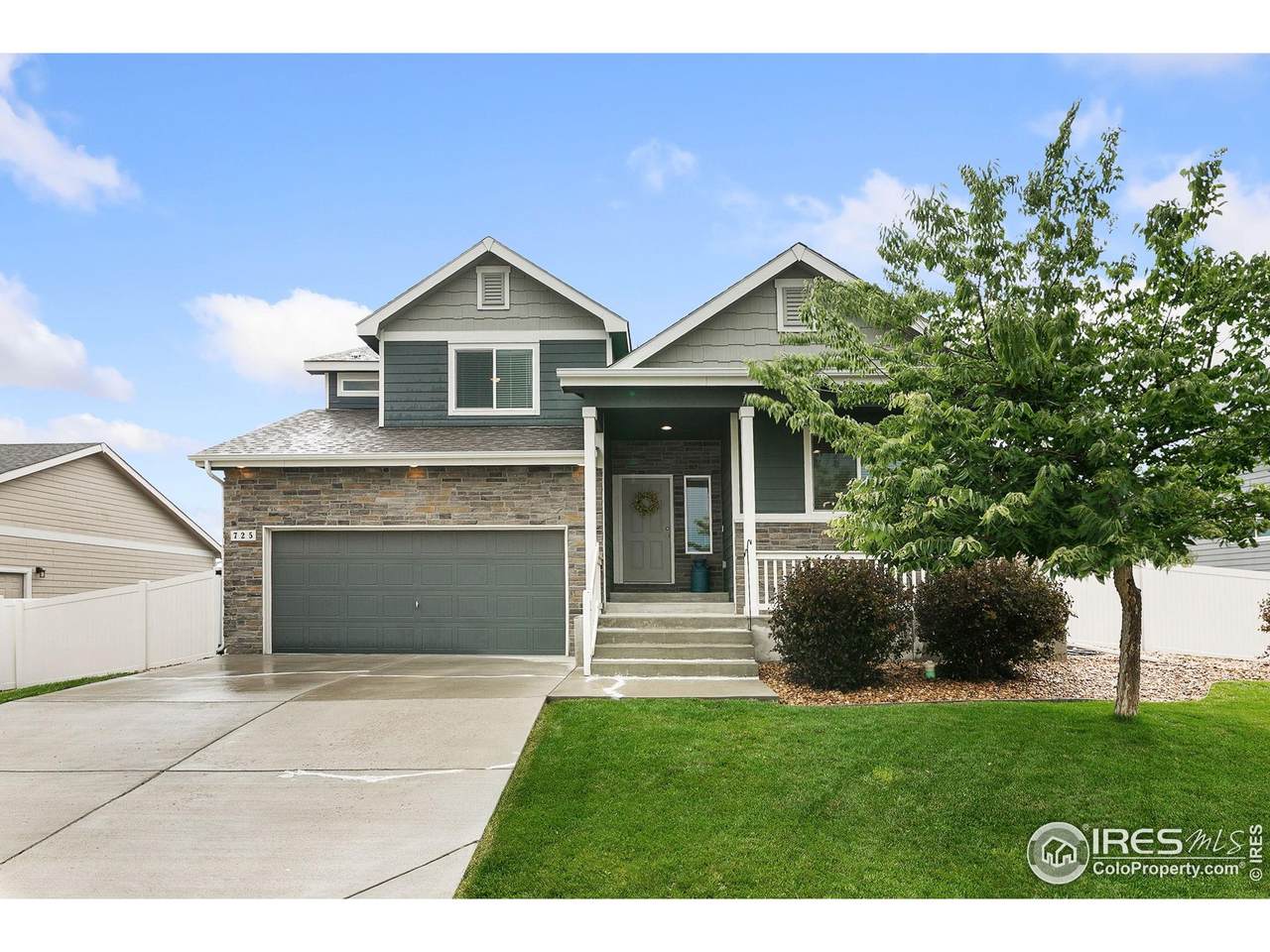 725 Mt Evans Ave - Photo 1