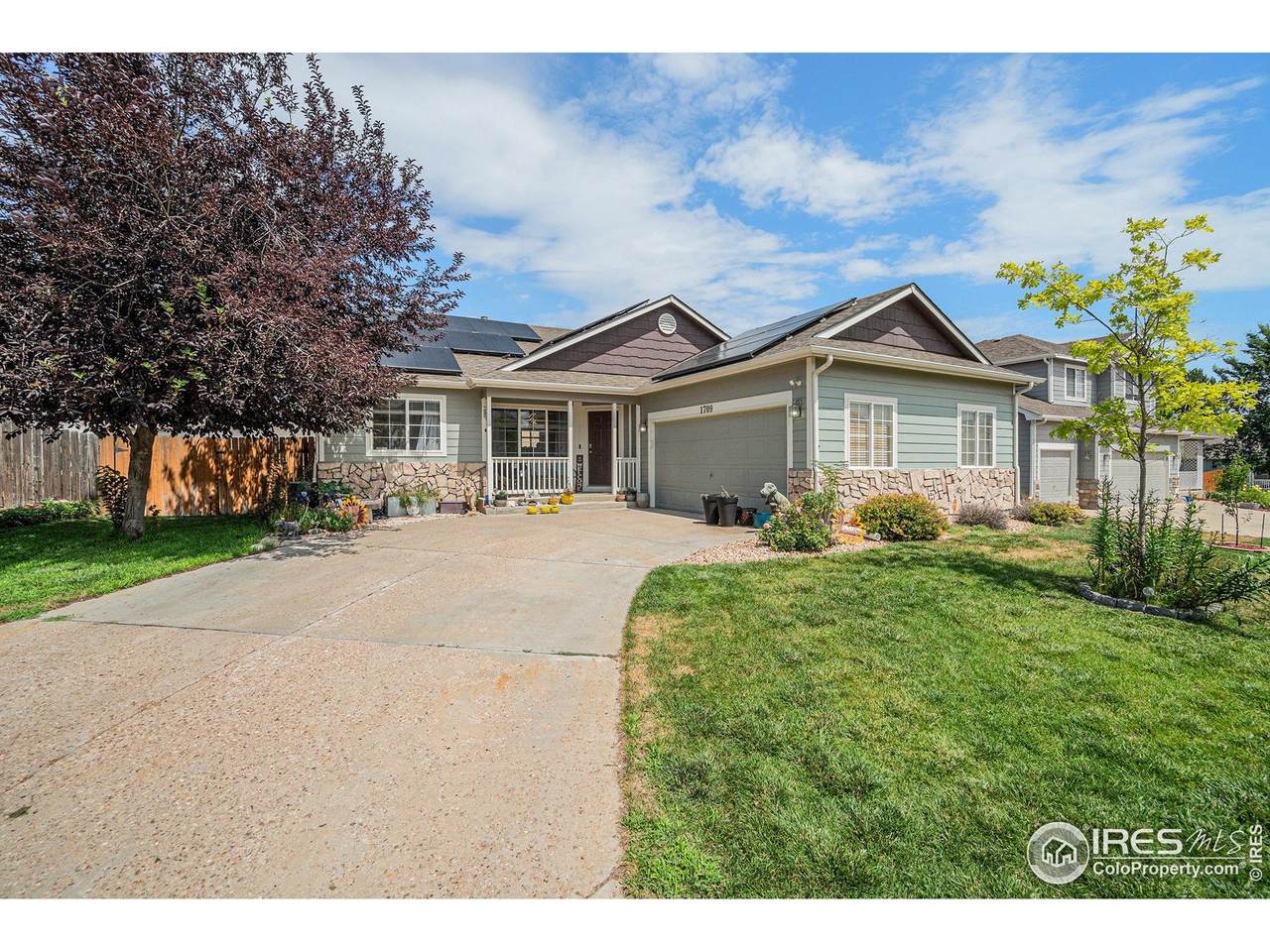 1709 88th Ave - Photo 1