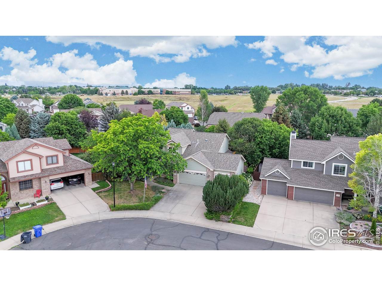 2406 Pine Needle Ct - Photo 1