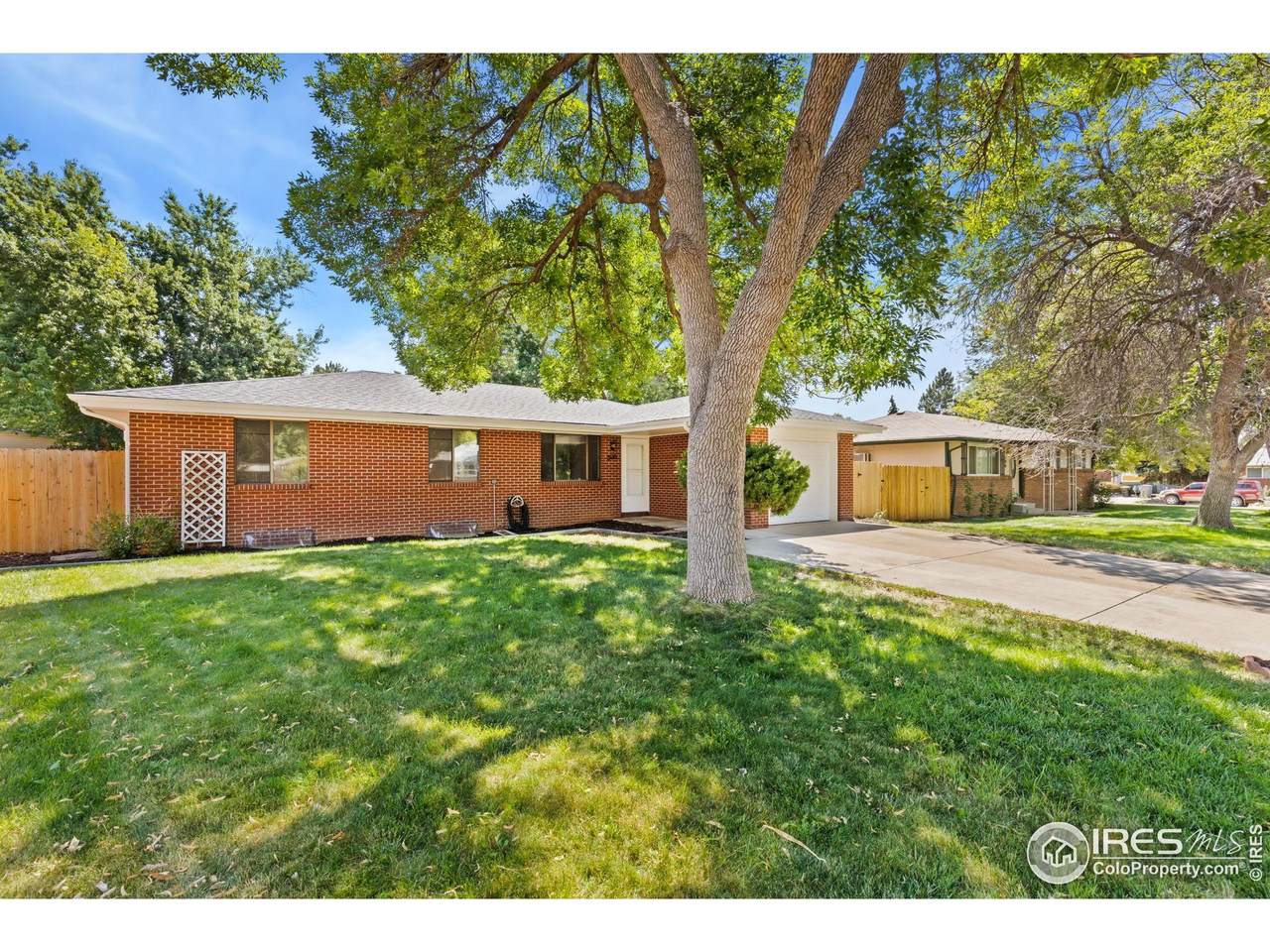 506 Mount Evans St - Photo 1