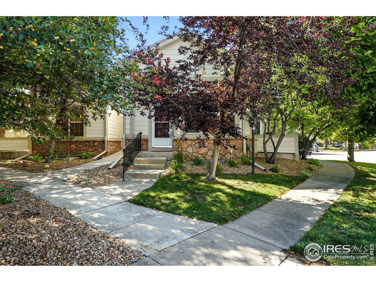 206 Remuda Ln - Photo 1