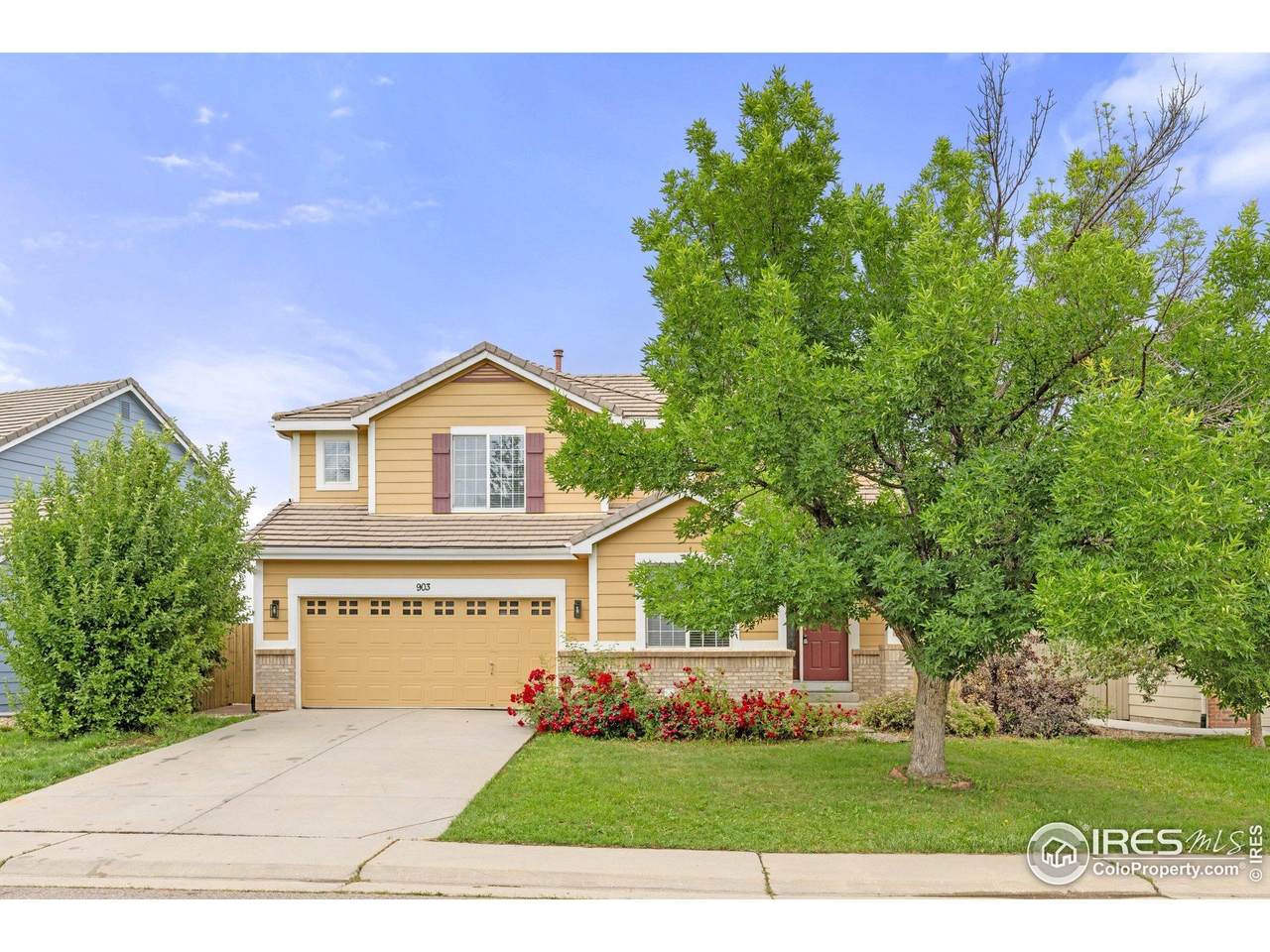 903 Grays Peak Dr - Photo 1