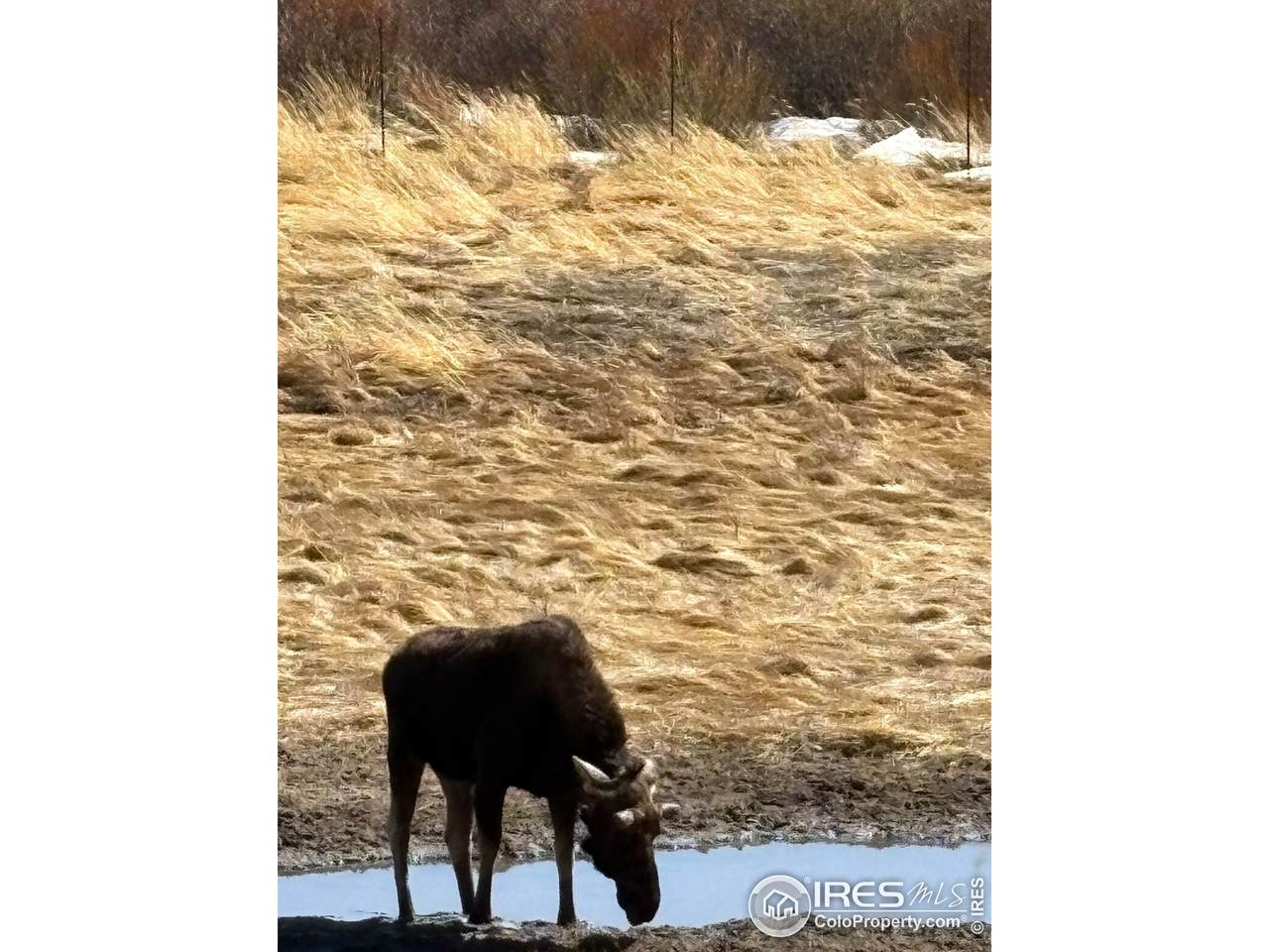 1565 Highway 66 - Photo 1