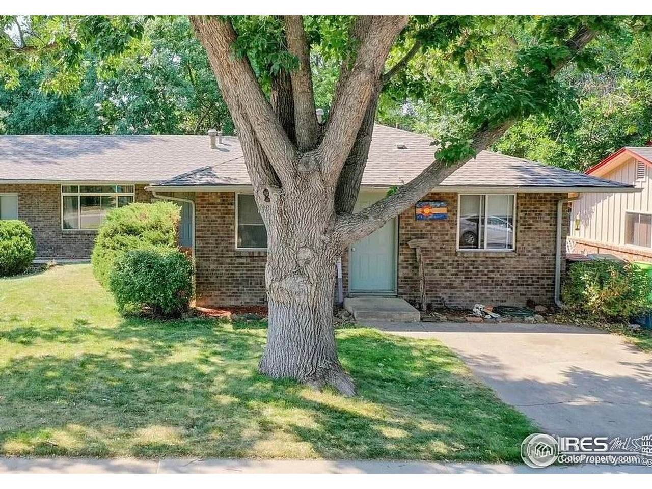 1113 Cypress Dr - Photo 1