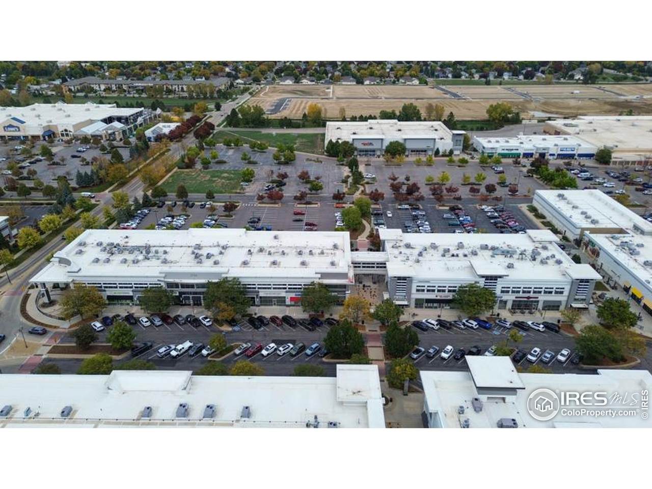 2720 Council Tree Ave - Photo 1