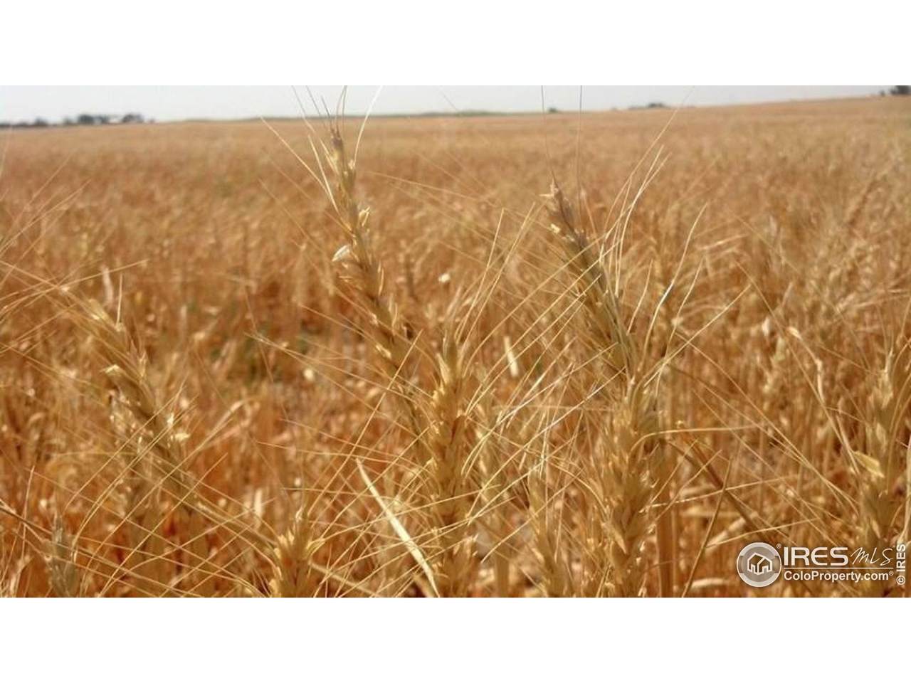  Address Not Published - Photo 1