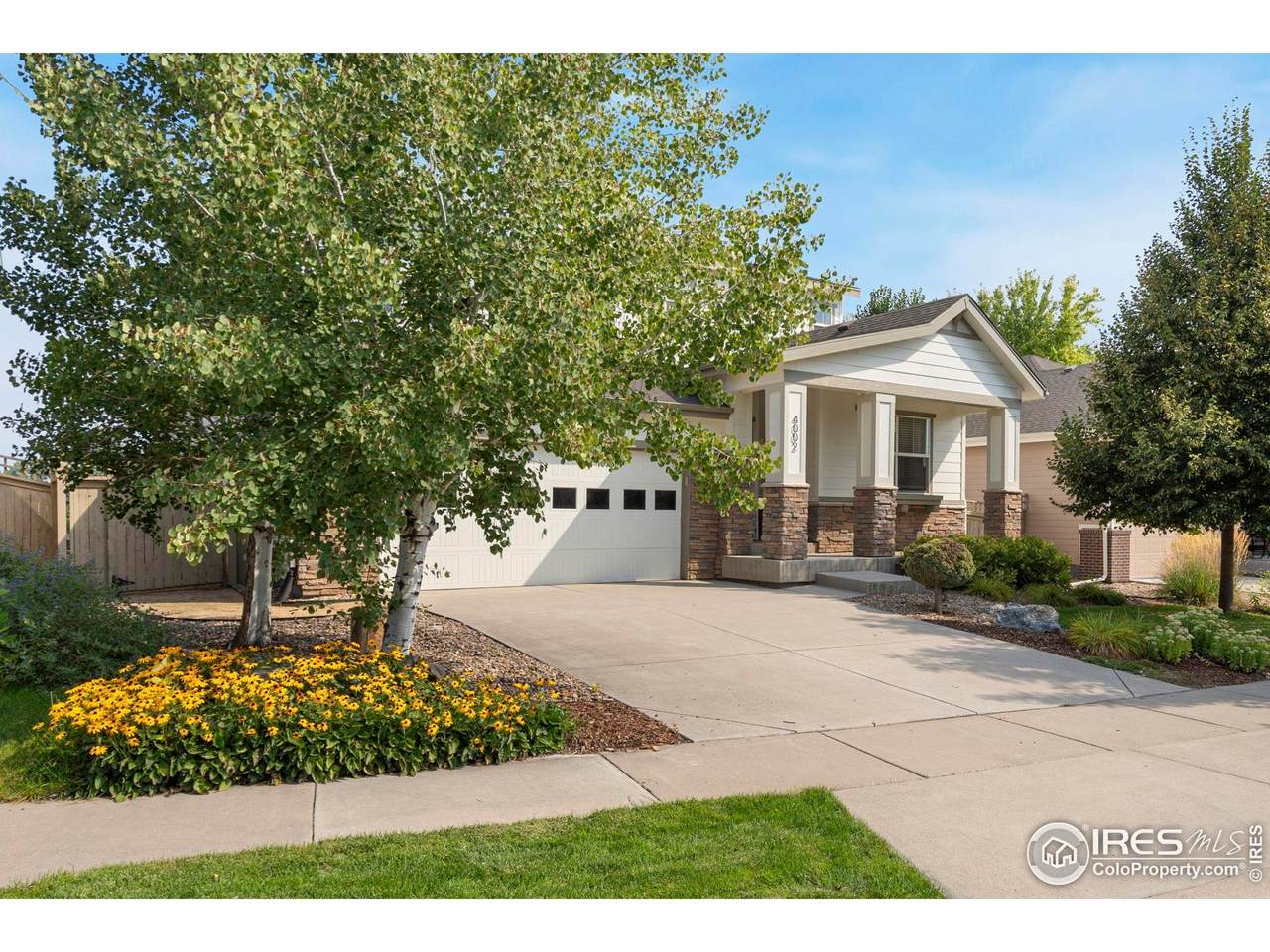 4002 Wild Elm Way - Photo 1