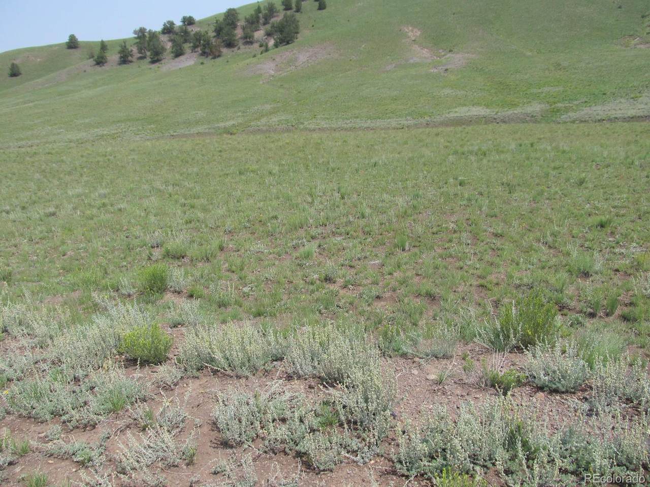 Siksika Trl - Photo 1