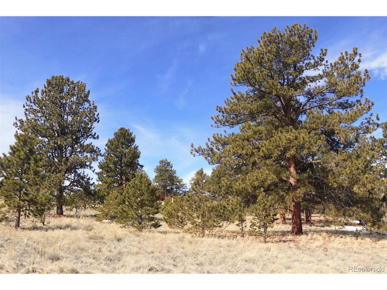 9928 Ranch Rd - Photo 1