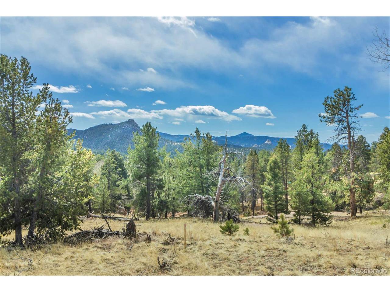 233 Pinon Ln - Photo 1