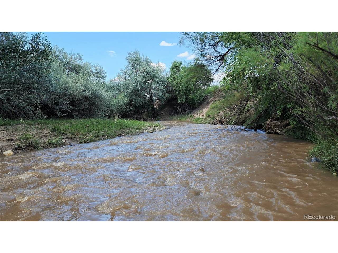 161 Colorado Land & Livestock Unit F - Photo 1