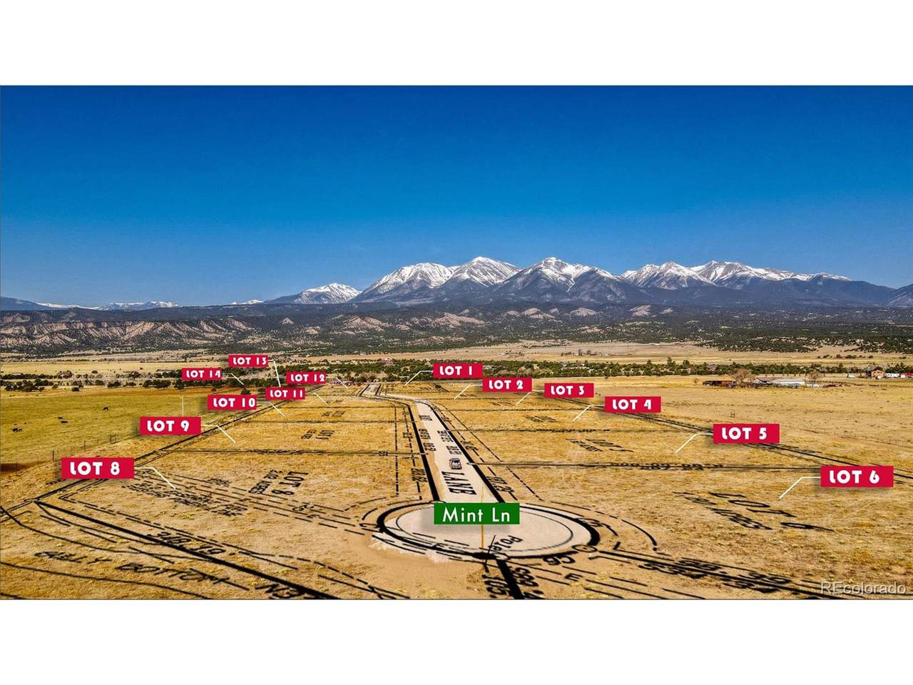 9962 Mint Ln - Photo 1