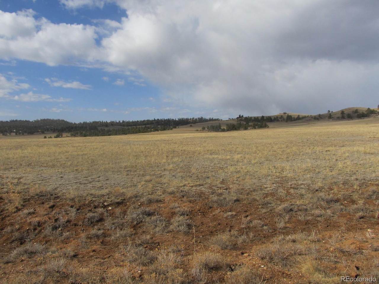 5043 Siksika Trl - Photo 1