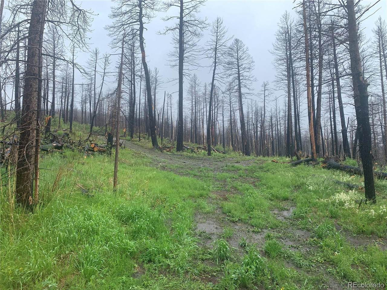 970 Forbes Park Rd - Photo 1