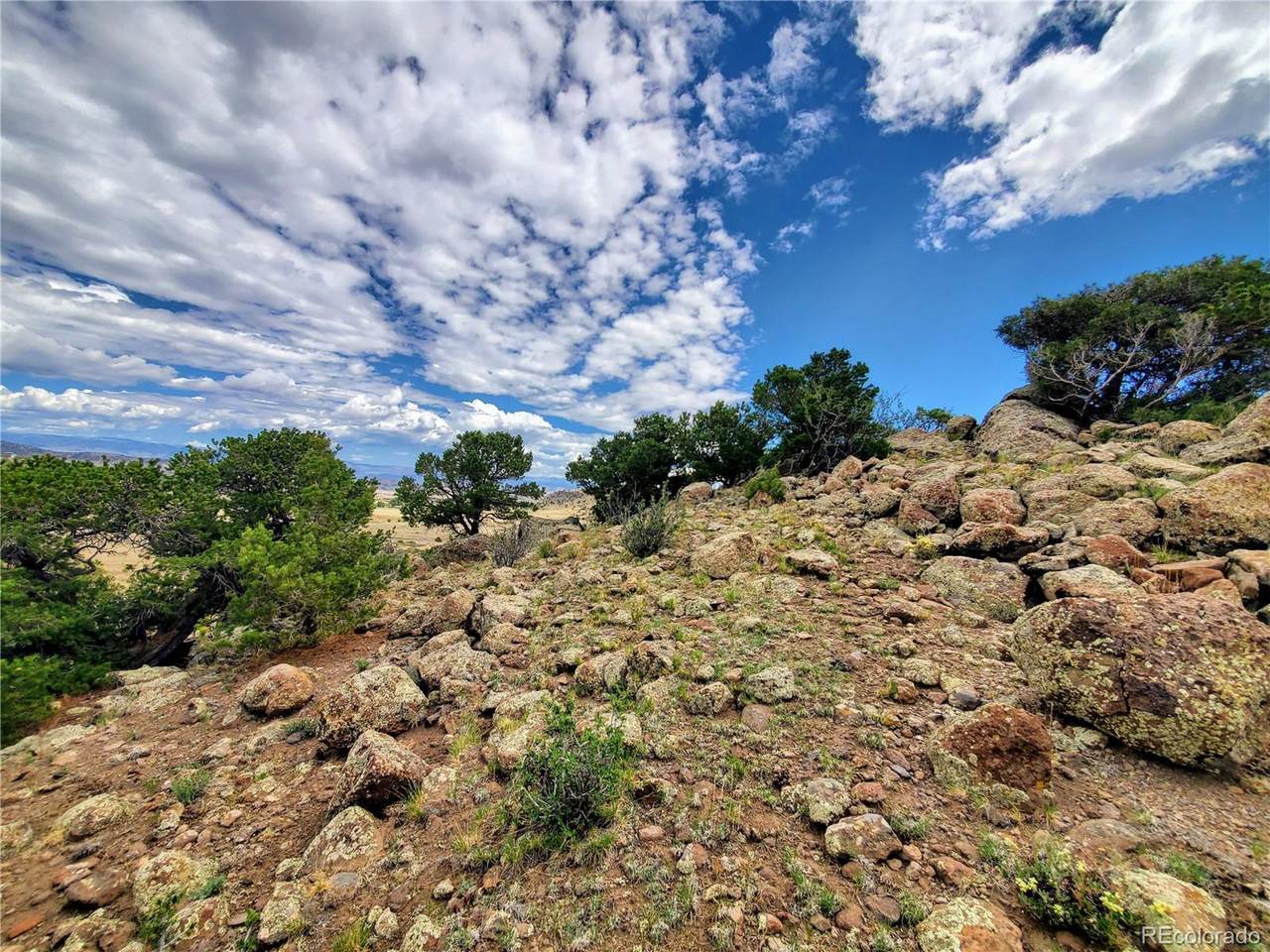 Old Homestead Rd - Photo 1