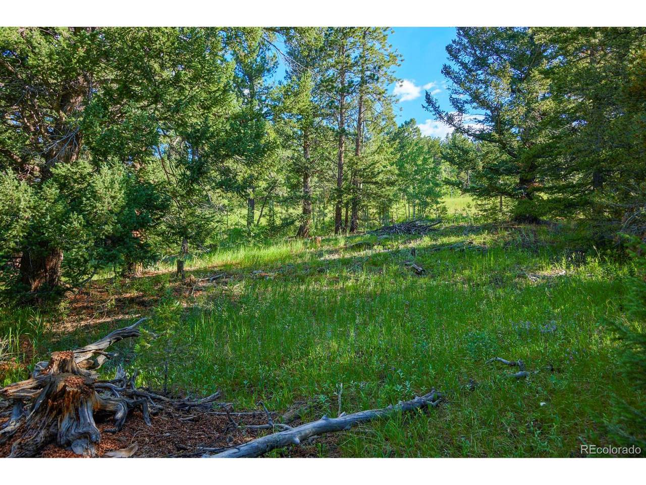 103 Juniper Rd - Photo 1