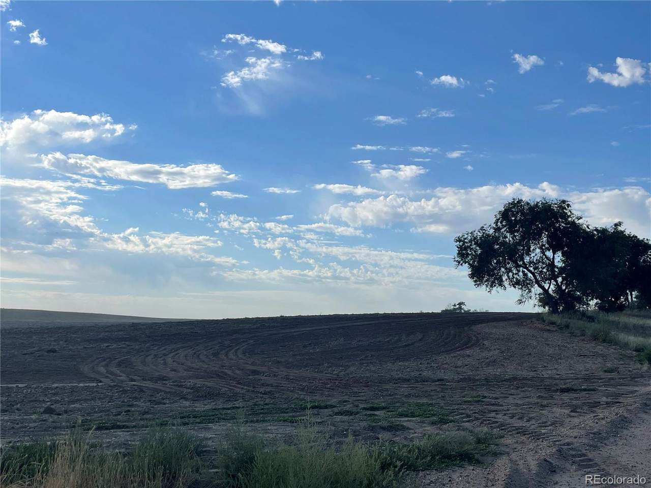 1 County Road 67 - Photo 1