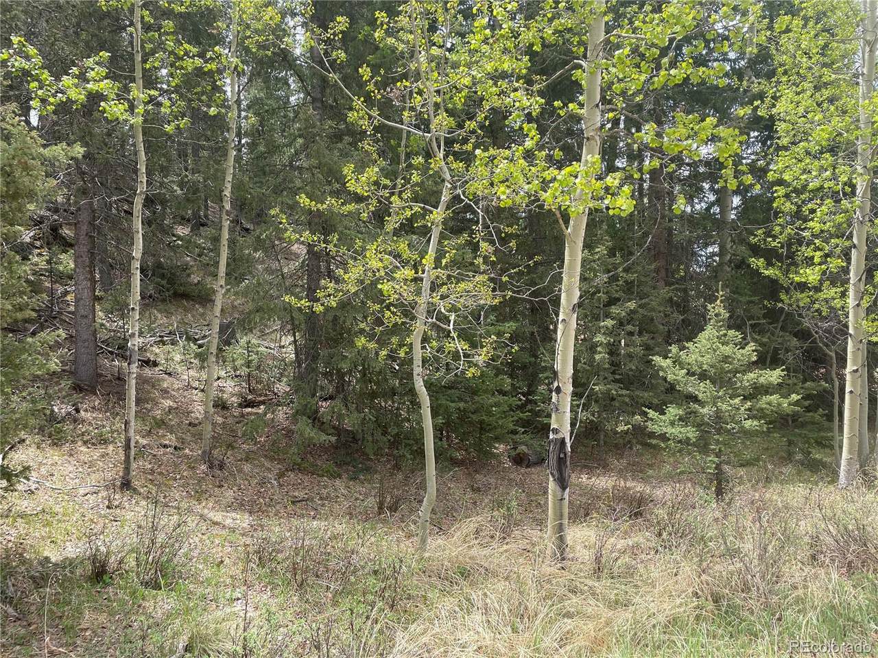 3075 North Mountain Estates Rd - Photo 1