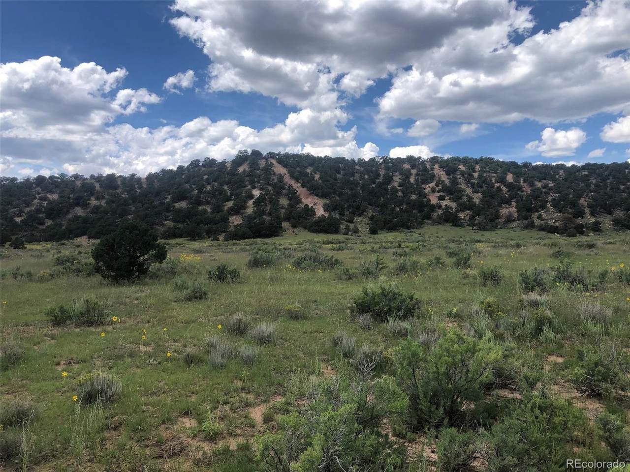 40 Highway 69 - Photo 1