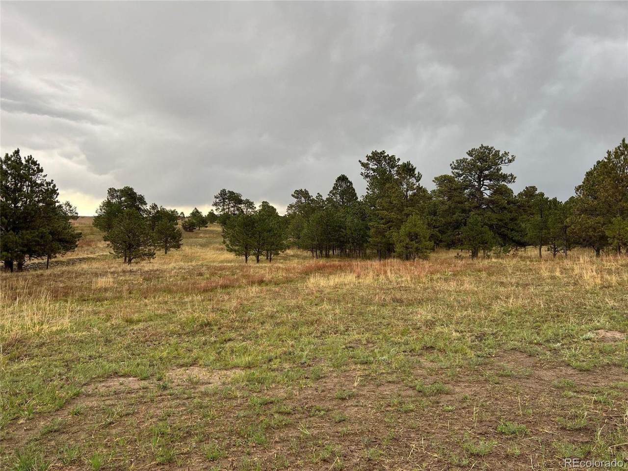11535 Bison Meadows Ct - Photo 1