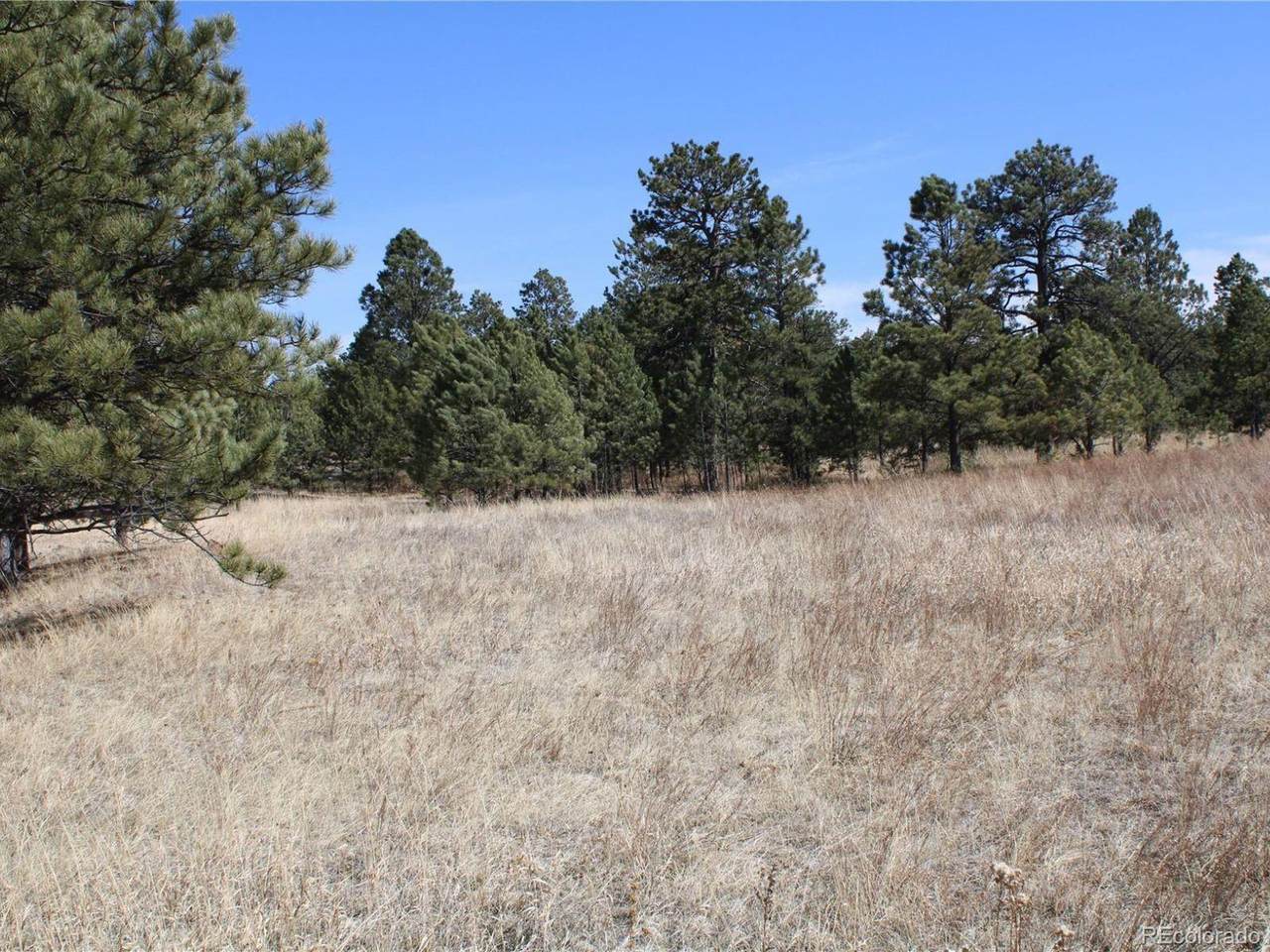 11556 Bison Meadows Ct - Photo 1