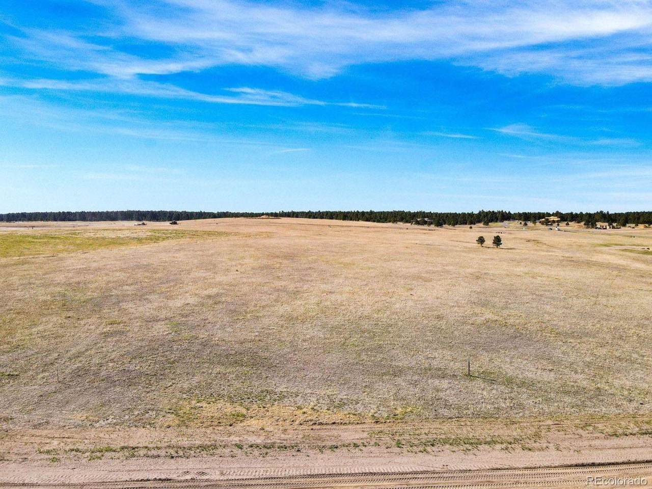 11445 Alamar Way - Photo 1
