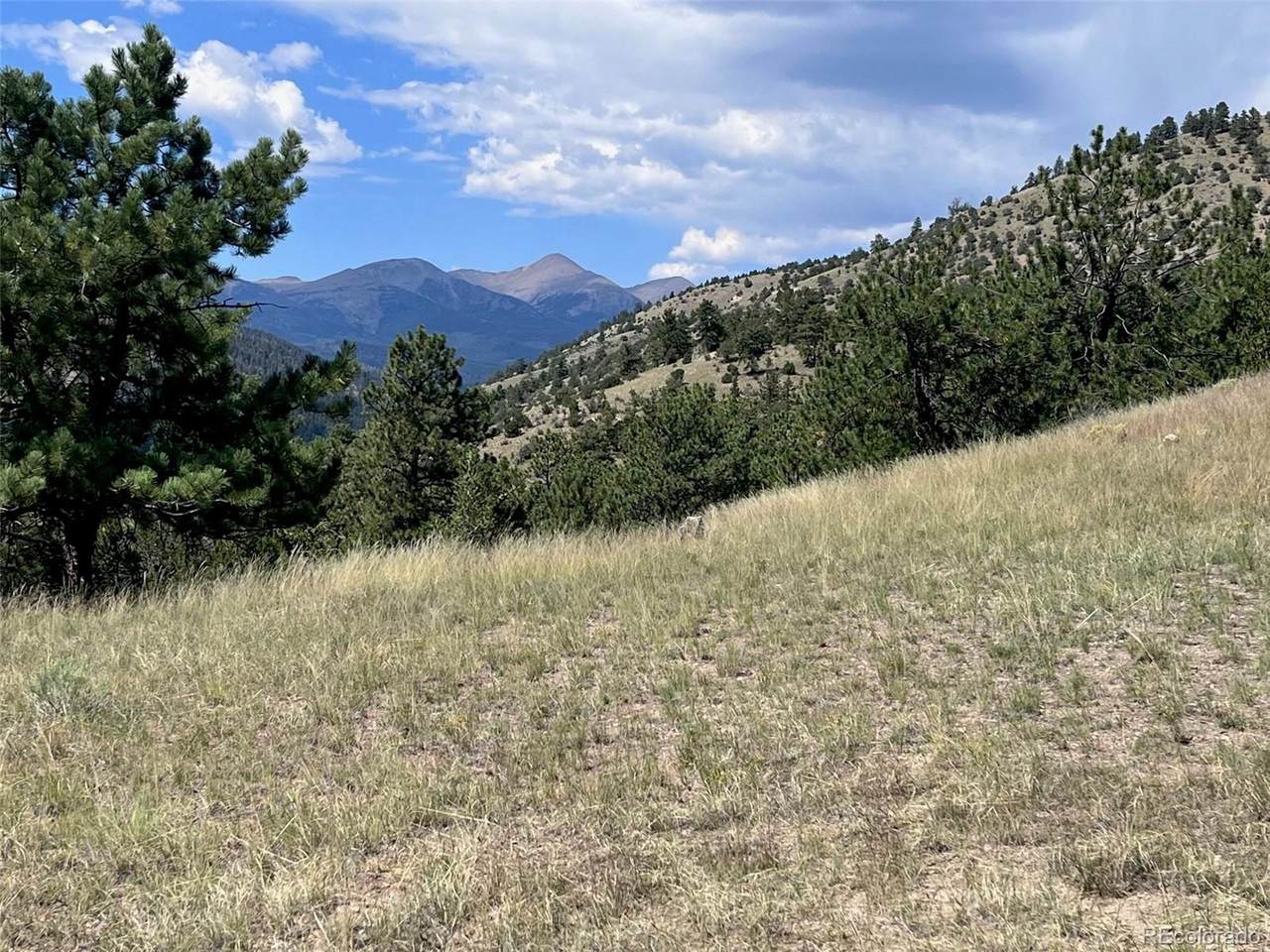 3 Elk Horn Ranch - Photo 1