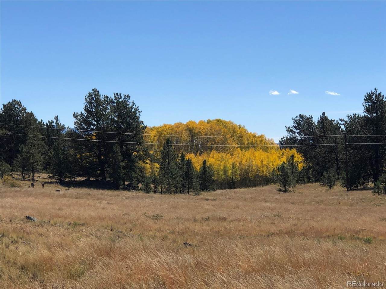 306 Jasper Way - Photo 1