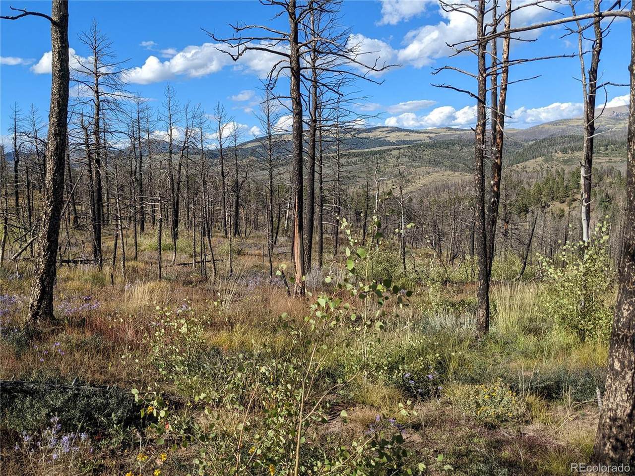 296 Wagon Mesa Loop - Photo 1
