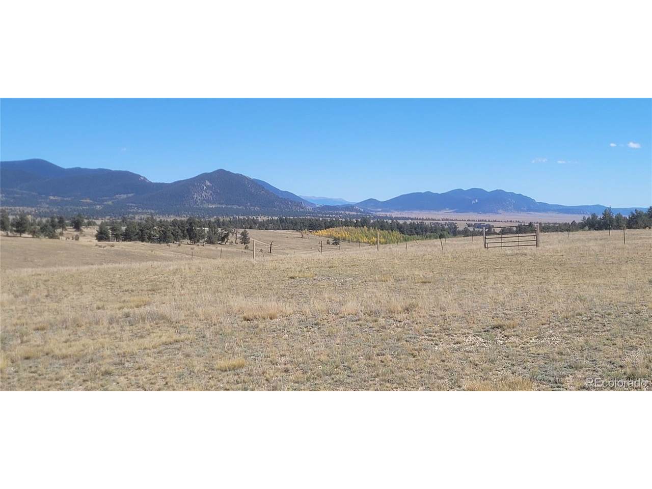1194 Yellowstone Rd - Photo 1