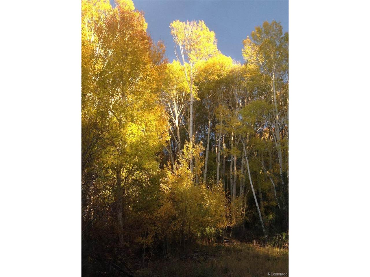 240 Big Bear Rd - Photo 1