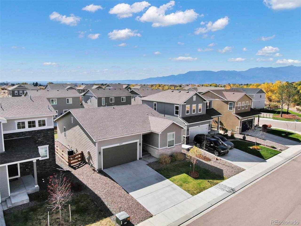 7027 Preble Dr - Photo 1