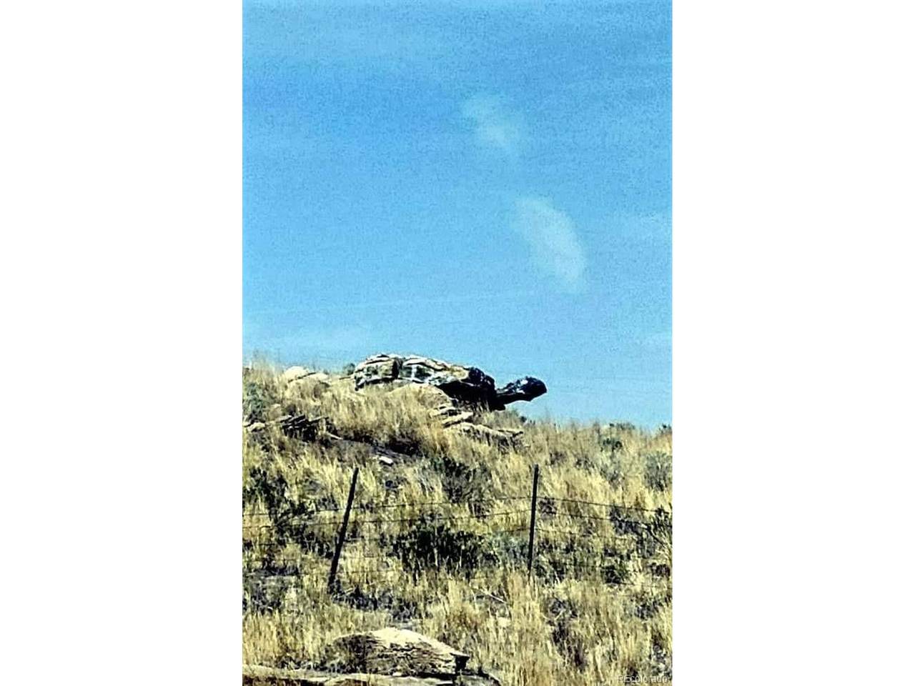 Hwy 40 - Photo 1